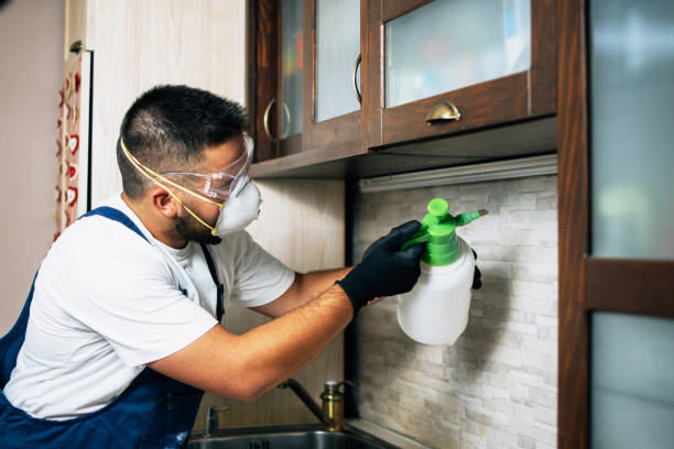 Best Termite Control Services  in St Albans, WV