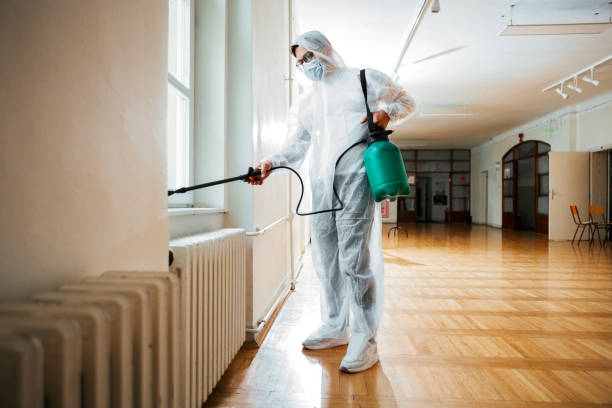 Best Flea Control Services  in St Albans, WV