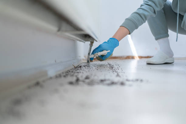 Best Best Pest Control Companies  in St Albans, WV