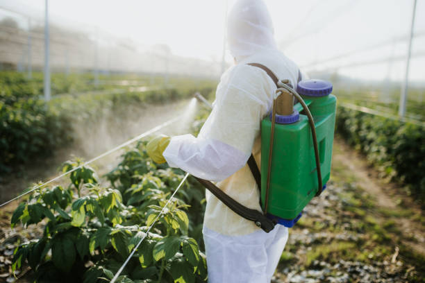 Best Pest Removal Services  in St Albans, WV